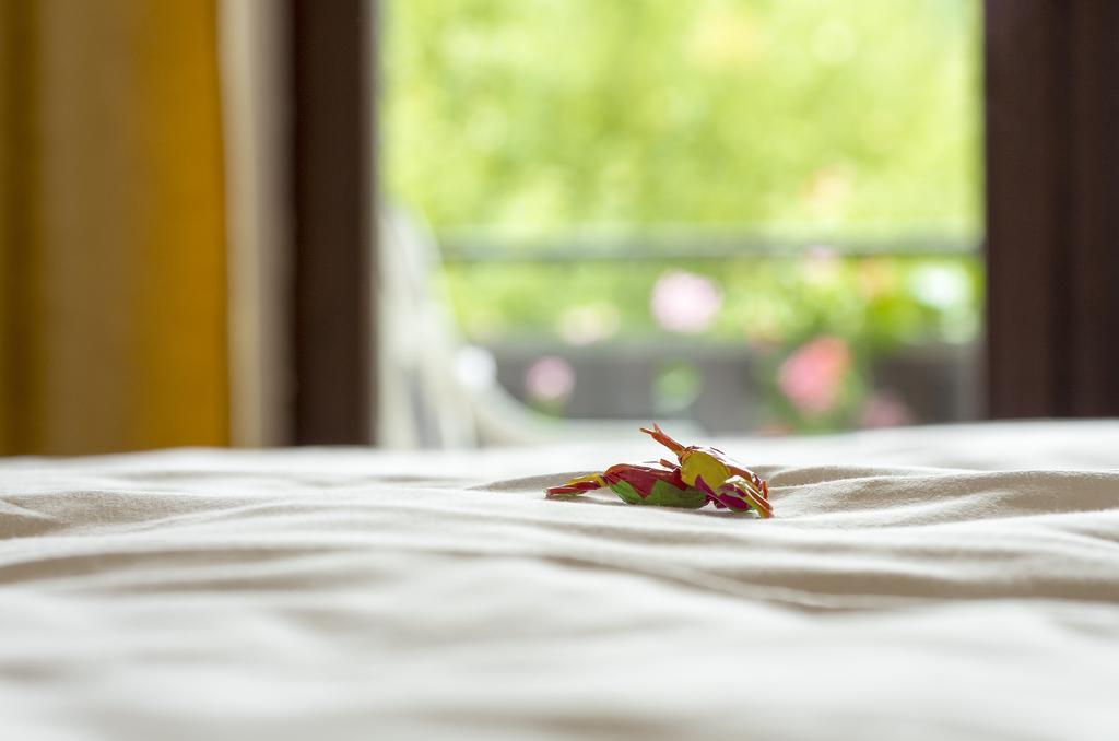 Gasthof & Landhotel Ohrnbachtal Weilbach Ngoại thất bức ảnh