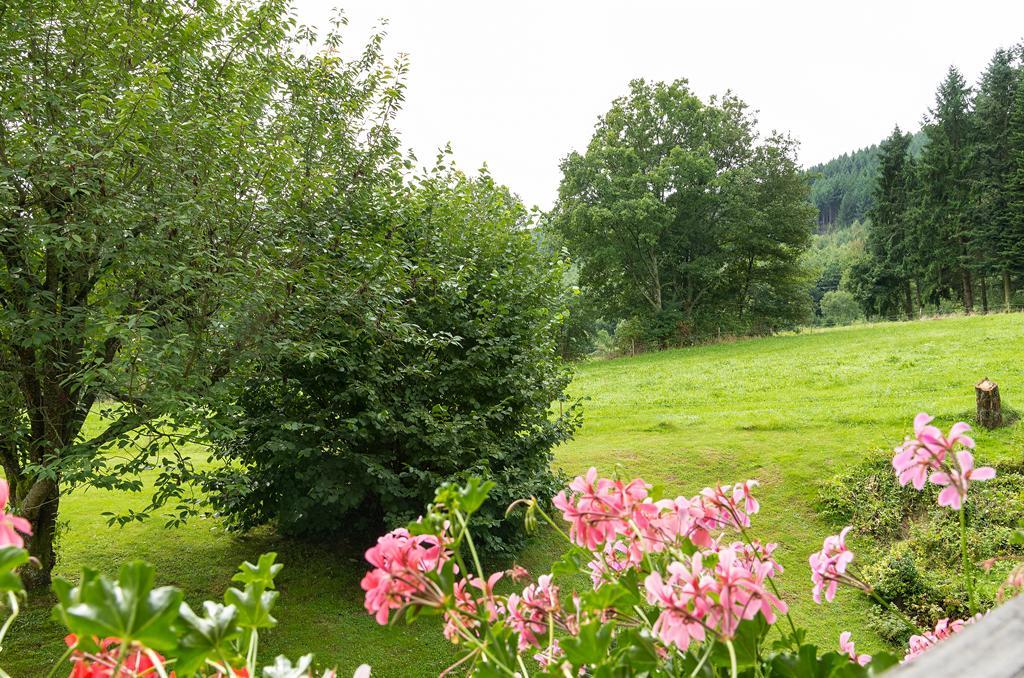 Gasthof & Landhotel Ohrnbachtal Weilbach Ngoại thất bức ảnh