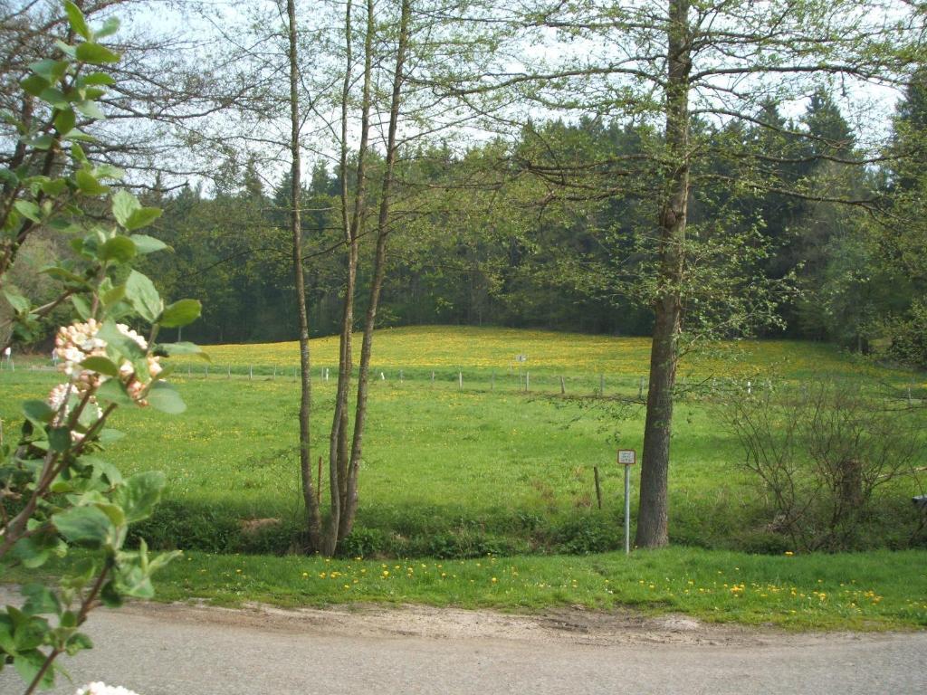 Gasthof & Landhotel Ohrnbachtal Weilbach Ngoại thất bức ảnh